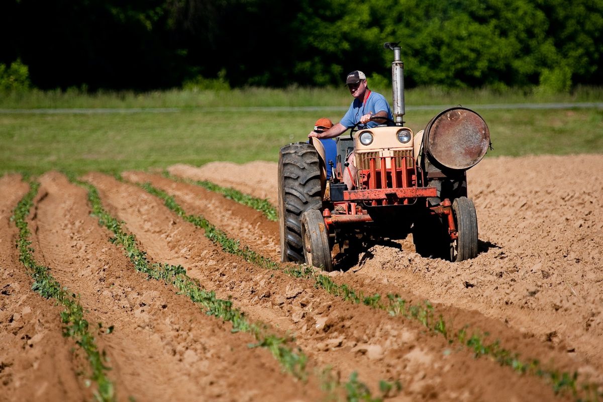 Measuring agricultural carbon footprint: a key step for designing sustainable WEFE Nexus systems