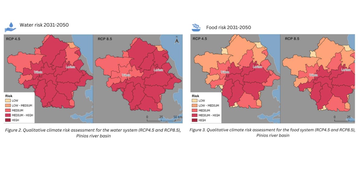 Integrating the Nexus Perspective into Climate Risk Assessments to Empower Better Policy Making